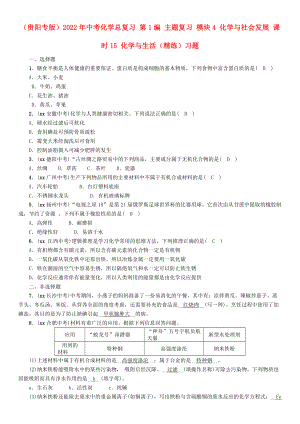 （貴陽專版）2022年中考化學總復習 第1編 主題復習 模塊4 化學與社會發(fā)展 課時15 化學與生活（精練）習題