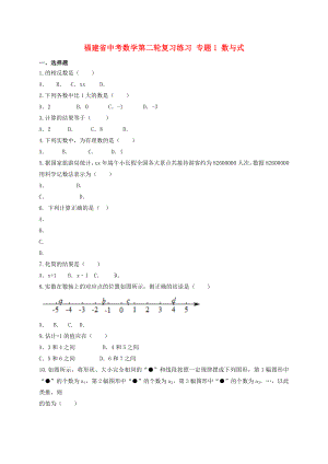 福建省中考數(shù)學(xué)第二輪復(fù)習(xí)練習(xí) 專題1 數(shù)與式