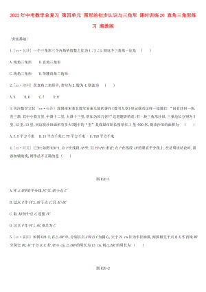 2022年中考數(shù)學(xué)總復(fù)習(xí) 第四單元 圖形的初步認(rèn)識(shí)與三角形 課時(shí)訓(xùn)練20 直角三角形練習(xí) 湘教版