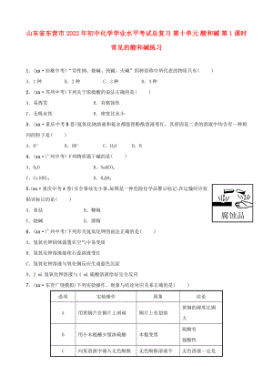 山東省東營市2022年初中化學(xué)學(xué)業(yè)水平考試總復(fù)習(xí) 第十單元 酸和堿 第1課時 常見的酸和堿練習(xí)