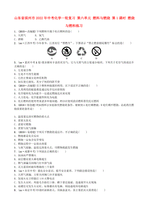 山東省濱州市2022年中考化學一輪復習 第六單元 燃料與燃燒 第1課時 燃燒與燃料練習