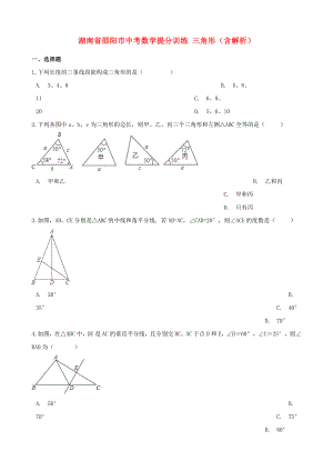 湖南省邵陽市中考數(shù)學提分訓練 三角形（含解析）