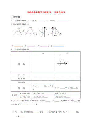 甘肅省中考數(shù)學(xué)專題復(fù)習(xí) 二次函數(shù)練習(xí)