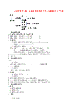 北京市高考生物一輪復習 例題講解 專題 組成細胞的分子學案