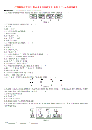 江蘇省徐州市2022年中考化學(xué)專項(xiàng)復(fù)習(xí) 專項(xiàng)（二）化學(xué)用語練習(xí)