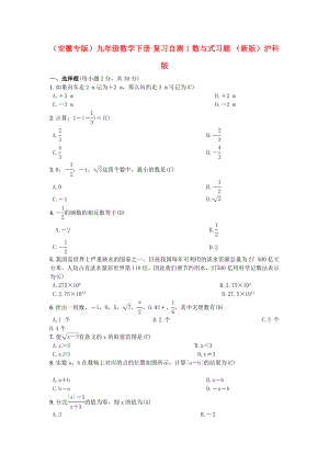 （安徽專版）九年級數(shù)學下冊 復(fù)習自測1 數(shù)與式習題 （新版）滬科版