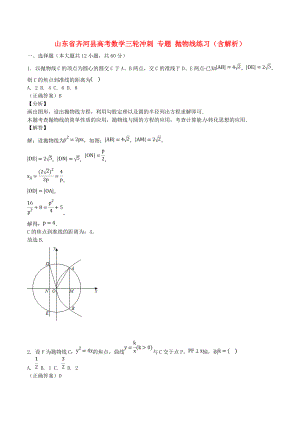 山東省齊河縣高考數(shù)學三輪沖刺 專題 拋物線練習（含解析）