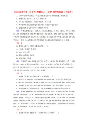 2022高考生物一輪復(fù)習(xí) 配餐作業(yè)4 核酸 糖類和脂質(zhì)（含解析）