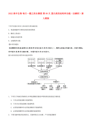 2022高中生物 每日一題之快樂暑假 第08天 蛋白質(zhì)的結(jié)構(gòu)和功能（含解析）新人教版