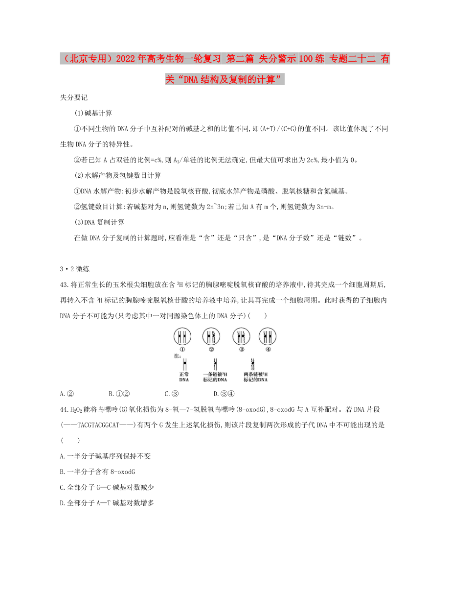 （北京專(zhuān)用）2022年高考生物一輪復(fù)習(xí) 第二篇 失分警示100練 專(zhuān)題二十二 有關(guān)“DNA結(jié)構(gòu)及復(fù)制的計(jì)算”_第1頁(yè)