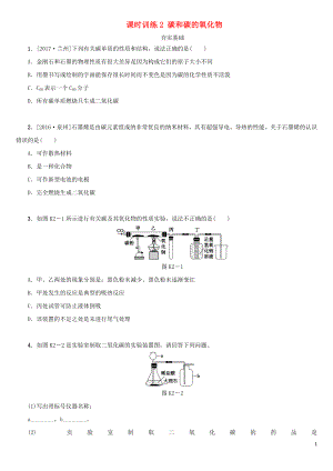 湖南省2018年中考化學(xué)復(fù)習(xí) 課時訓(xùn)練2 碳和碳的氧化物練習(xí)