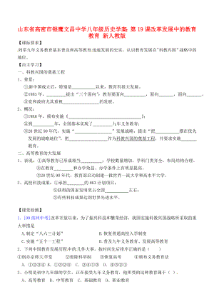 山東省高密市銀鷹文昌中學(xué)八年級(jí)歷史下冊(cè) 第19課 改革發(fā)展中的教育學(xué)案（無答案） 新人教版