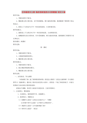 五年級(jí)語(yǔ)文上冊(cè) 裝在信封里的小太陽(yáng)教案 語(yǔ)文S版