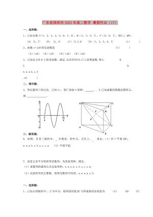 廣東省深圳市2022年高二數(shù)學 暑假作業(yè)（17）