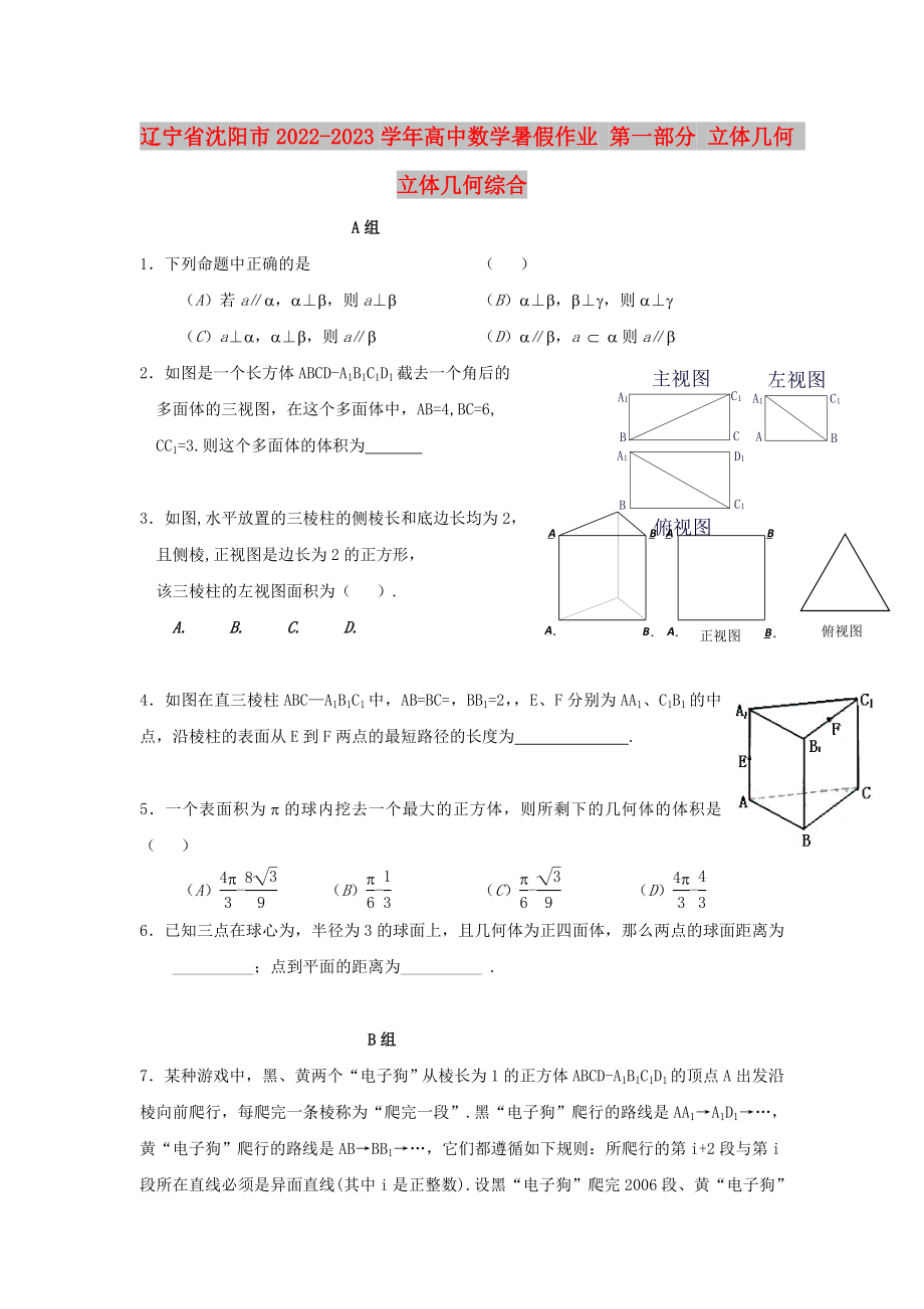 遼寧省沈陽市2022-2023學(xué)年高中數(shù)學(xué)暑假作業(yè) 第一部分 立體幾何 立體幾何綜合_第1頁