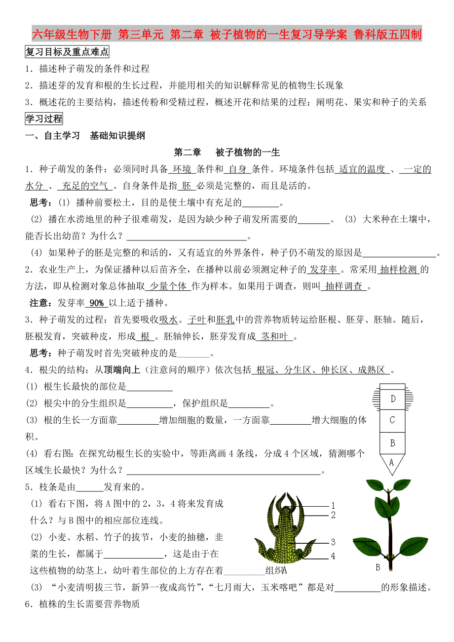 六年級(jí)生物下冊(cè) 第三單元 第二章 被子植物的一生復(fù)習(xí)導(dǎo)學(xué)案 魯科版五四制_第1頁(yè)