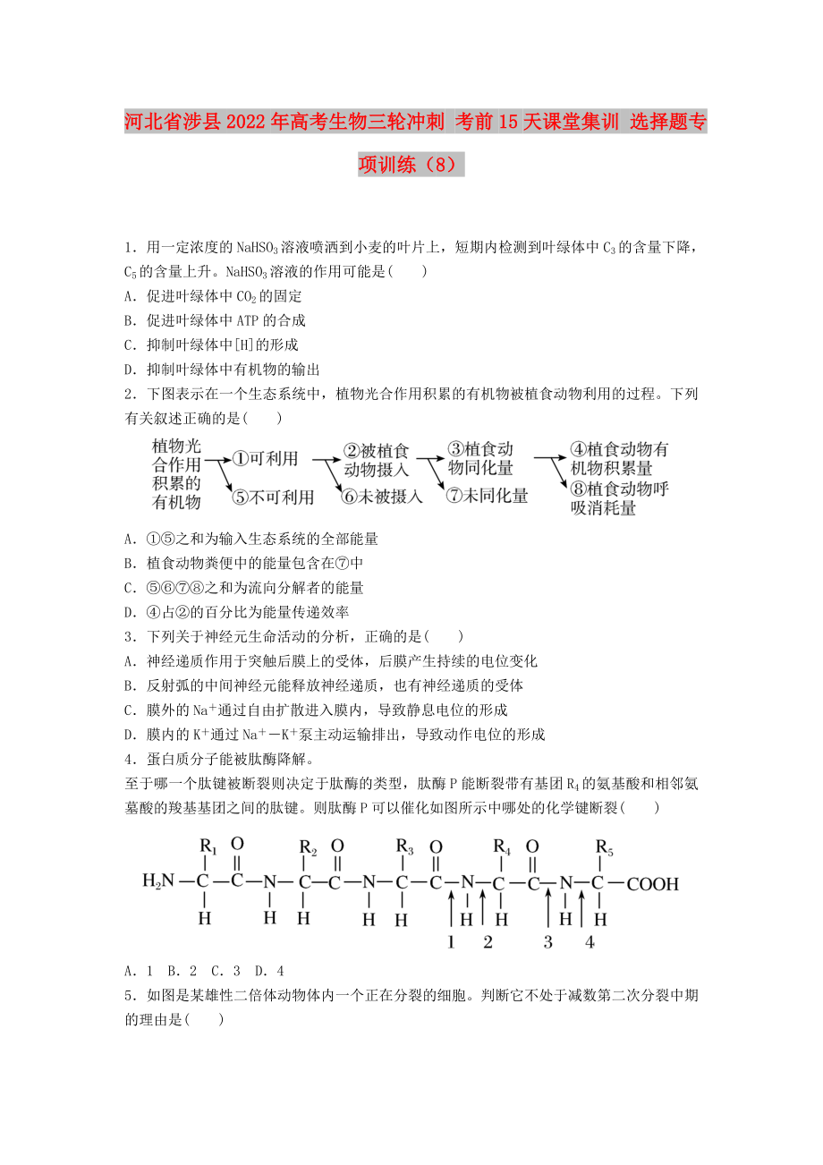 河北省涉縣2022年高考生物三輪沖刺 考前15天課堂集訓(xùn) 選擇題專項(xiàng)訓(xùn)練（8）_第1頁(yè)