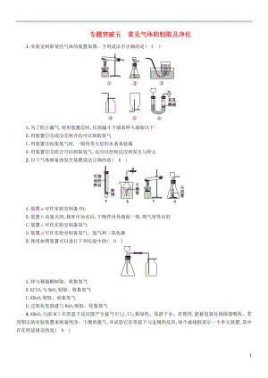 （百色專(zhuān)版）2019屆中考化學(xué)畢業(yè)總復(fù)習(xí) 第2編 重點(diǎn)專(zhuān)題突破篇 專(zhuān)題突破5 常見(jiàn)氣體的制取及凈化檢測(cè)