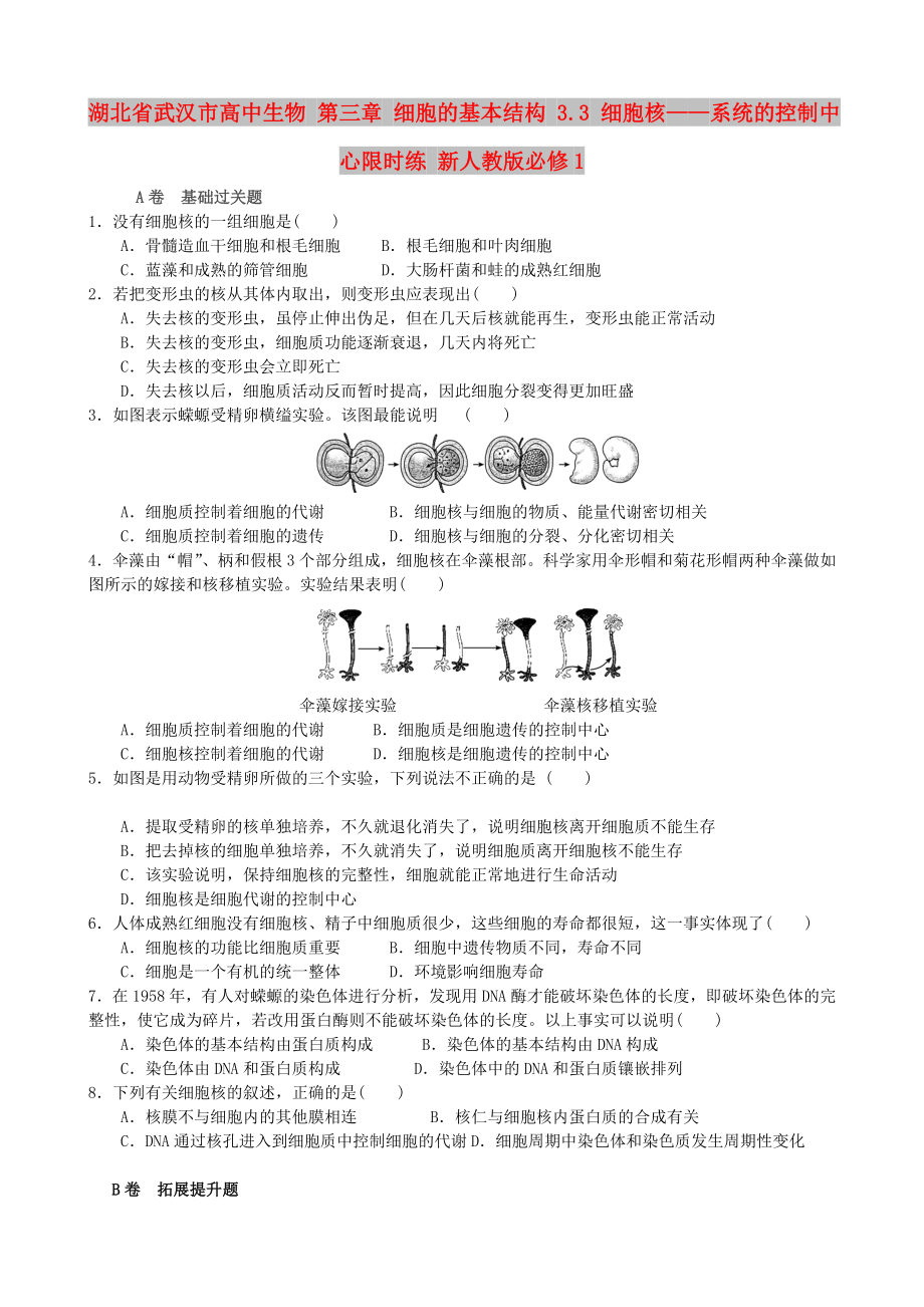 湖北省武漢市高中生物 第三章 細(xì)胞的基本結(jié)構(gòu) 3.3 細(xì)胞核——系統(tǒng)的控制中心限時(shí)練 新人教版必修1_第1頁(yè)