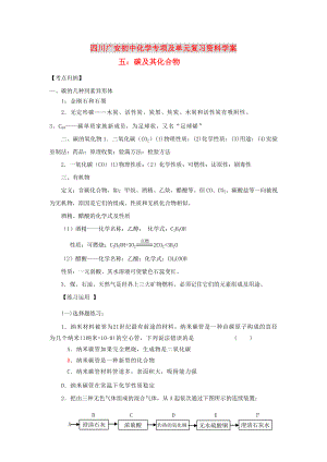 四川省廣安市2020年初中化學(xué)專項復(fù)習(xí) 碳及其化合物學(xué)案（無答案） 新人教版