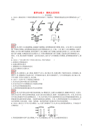 （課標(biāo)通用）安徽省2019年中考化學(xué)總復(fù)習(xí) 素養(yǎng)全練8 燃料及其利用