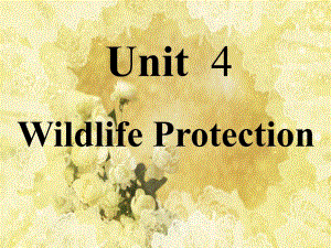 Unit4_Wildlife_Protection(PPT)