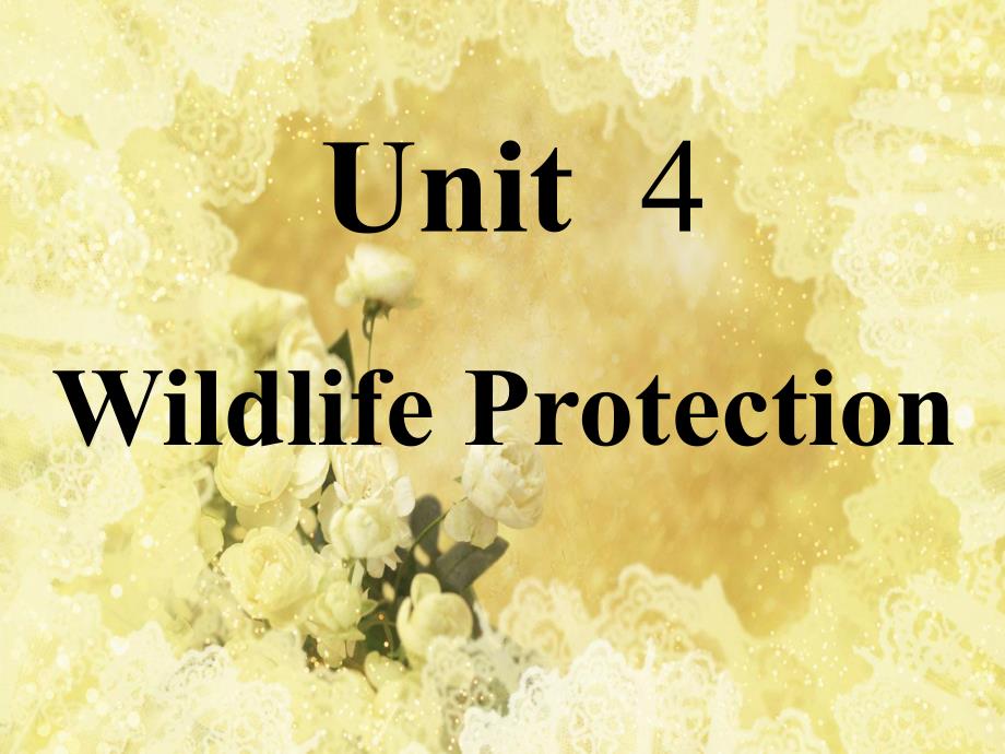 Unit4_Wildlife_Protection(PPT)_第1页