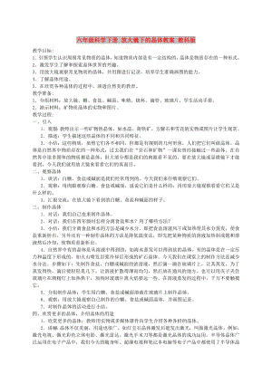 六年級科學(xué)下冊 放大鏡下的晶體教案 教科版