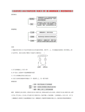 （北京專用）2022年高考生物一輪復(fù)習(xí) 第一篇 解題模板篇 3 模型圖解類練習(xí)