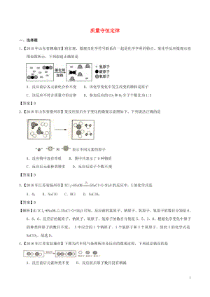 2018年中考化學(xué)知識(shí)分類練習(xí)卷 質(zhì)量守恒定律