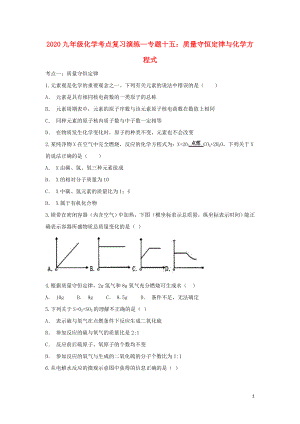 2020九年級化學(xué)考點復(fù)習(xí)演練 專題十五 質(zhì)量守恒定律與化學(xué)方程式試題