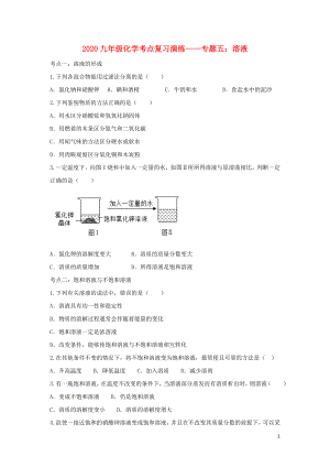 2020九年級化學考點復習演練 專題五 溶液試題