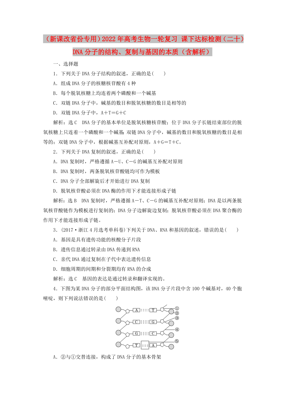 （新課改省份專用）2022年高考生物一輪復(fù)習(xí) 課下達(dá)標(biāo)檢測(cè)（二十）DNA分子的結(jié)構(gòu)、復(fù)制與基因的本質(zhì)（含解析）_第1頁