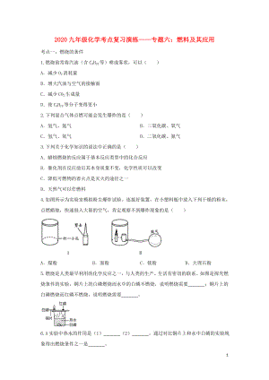 2020九年級化學考點復習演練 專題六 燃料及其應用試題