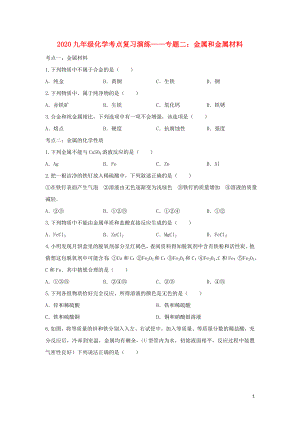 2020九年級化學考點復習演練 專題二 金屬和金屬材料試題