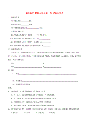 八年級(jí)化學(xué) 第六單元 燃燒與燃料測(cè)試