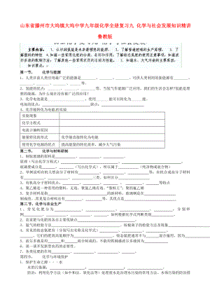 山東省滕州市大塢鎮(zhèn)大塢中學(xué)九年級(jí)化學(xué)全冊(cè)復(fù)習(xí)九 化學(xué)與社會(huì)發(fā)展知識(shí)精講（無答案） 魯教版（通用）