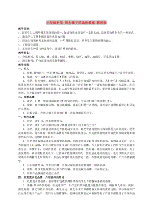 六年級(jí)科學(xué) 放大鏡下的晶體教案 教科版