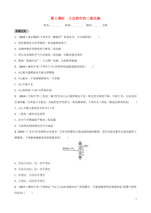 山東省2019年中考化學總復習 第六講 燃料與燃燒 第2課時 大自然中的二氧化碳練習（五四制）