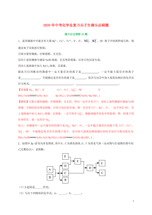 2020中考化學(xué)總復(fù)習(xí) 滿分必刷200題 06 推斷20題（含解析）