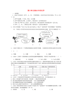 九年級化學(xué) 第六單元海水中的化學(xué)單元試題匯編 魯教版（通用）