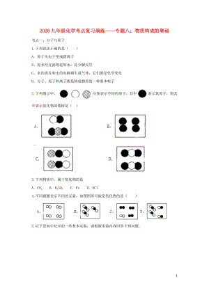 2020九年級(jí)化學(xué)考點(diǎn)復(fù)習(xí)演練 專(zhuān)題八 物質(zhì)構(gòu)成的奧秘試題