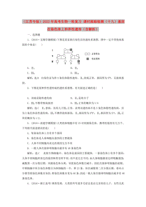 （江蘇專版）2022年高考生物一輪復(fù)習(xí) 課時跟蹤檢測（十九）基因在染色體上和伴性遺傳（含解析）