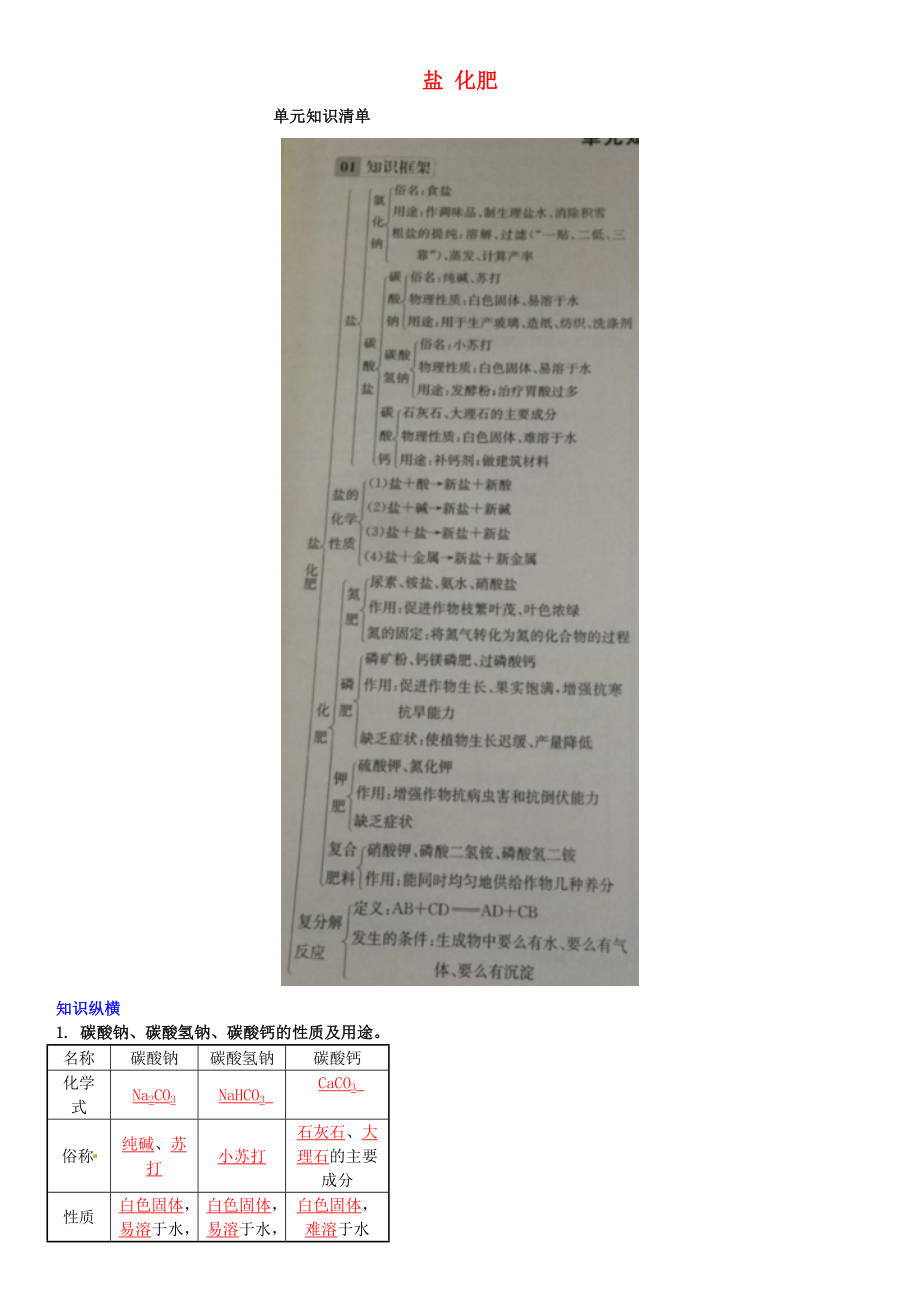 2020年春九年級化學(xué)下冊 第十一單元 鹽 化肥知識清單 （新版）新人教版_第1頁