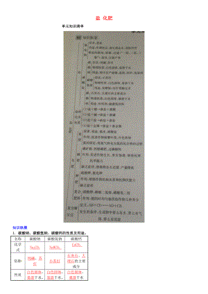 2020年春九年級化學下冊 第十一單元 鹽 化肥知識清單 （新版）新人教版