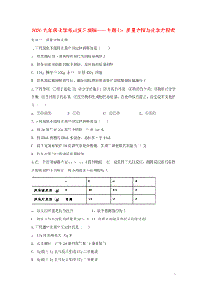 2020九年級(jí)化學(xué)考點(diǎn)復(fù)習(xí)演練 專題七 質(zhì)量守恒與化學(xué)方程式試題