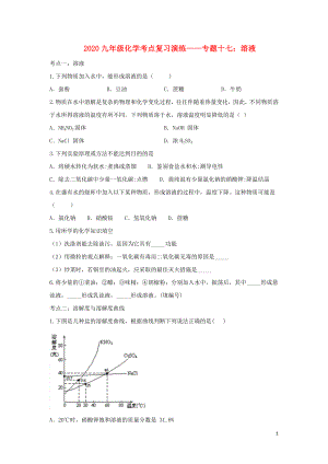 2020九年級(jí)化學(xué)考點(diǎn)復(fù)習(xí)演練 專題十七 溶液試題