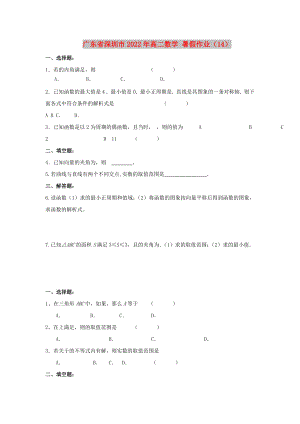 廣東省深圳市2022年高二數(shù)學 暑假作業(yè)（14）