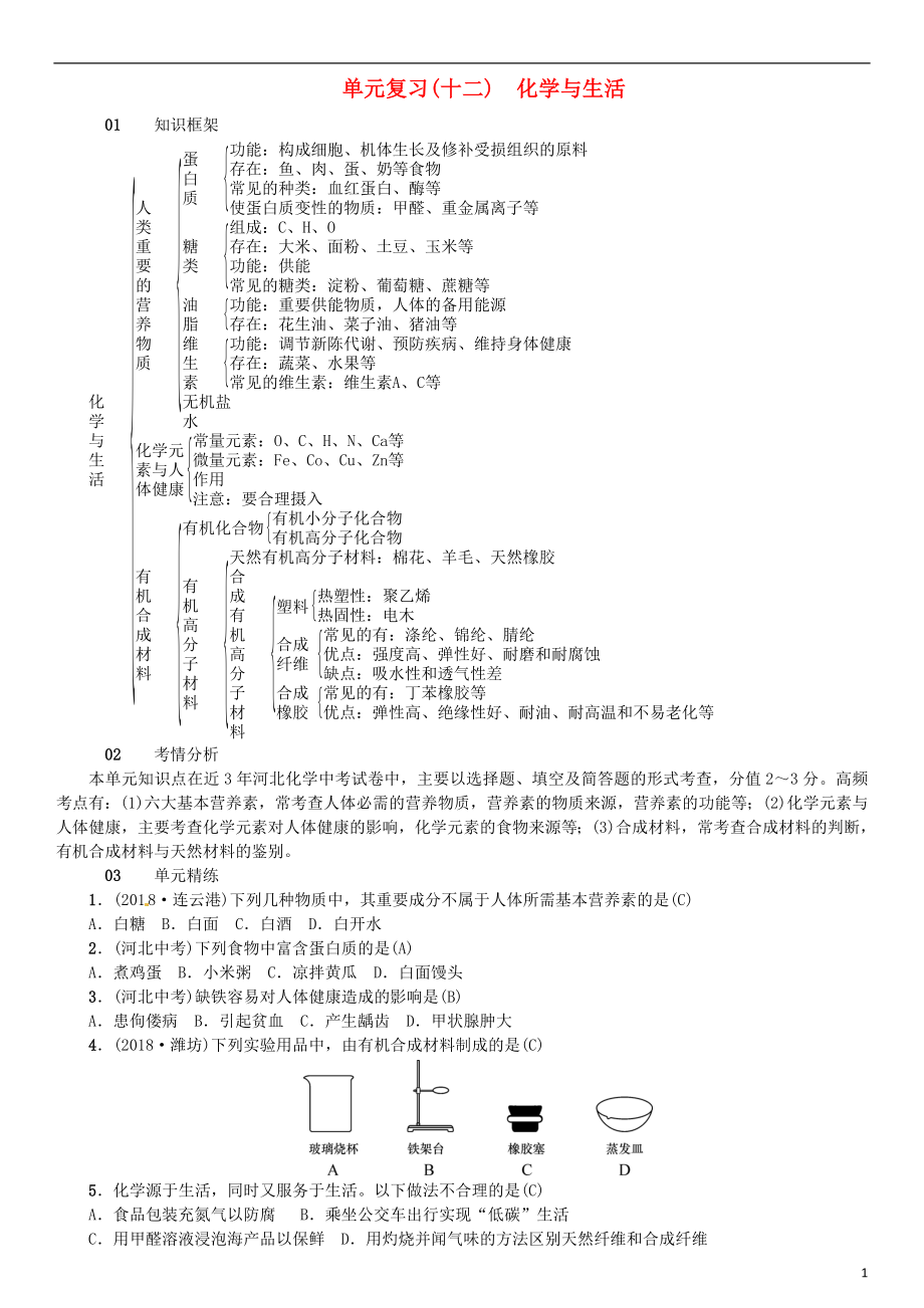 河北省2018年秋九年級化學(xué)下冊 第十二單元 化學(xué)與生活單元復(fù)習(xí)（十二）習(xí)題 （新版）新人教版_第1頁