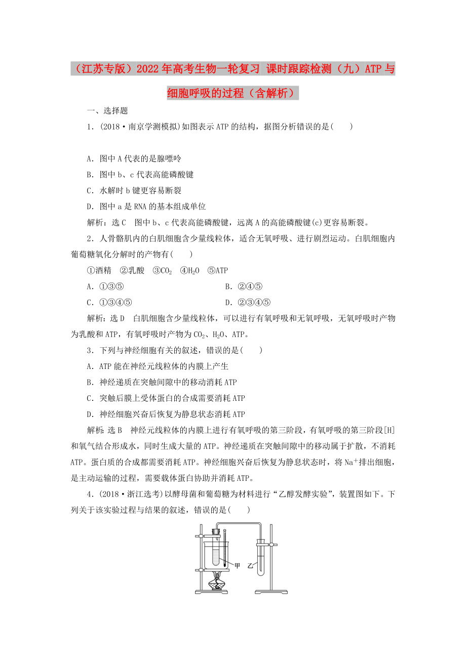 （江蘇專(zhuān)版）2022年高考生物一輪復(fù)習(xí) 課時(shí)跟蹤檢測(cè)（九）ATP與細(xì)胞呼吸的過(guò)程（含解析）_第1頁(yè)